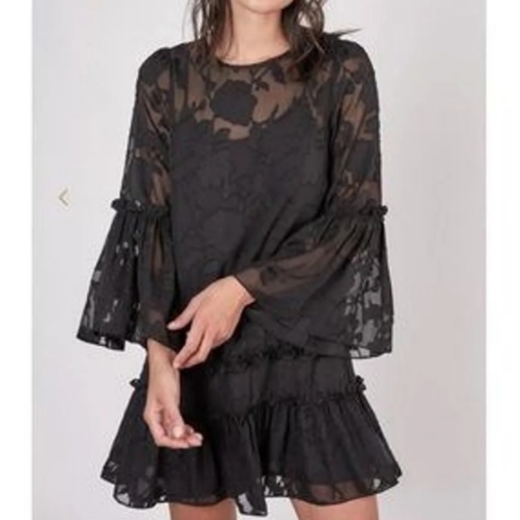 Mustard Seed Dresses & Skirts - MUSTARD SEED Long Sleeve Ruffle Sheer Mini Dress